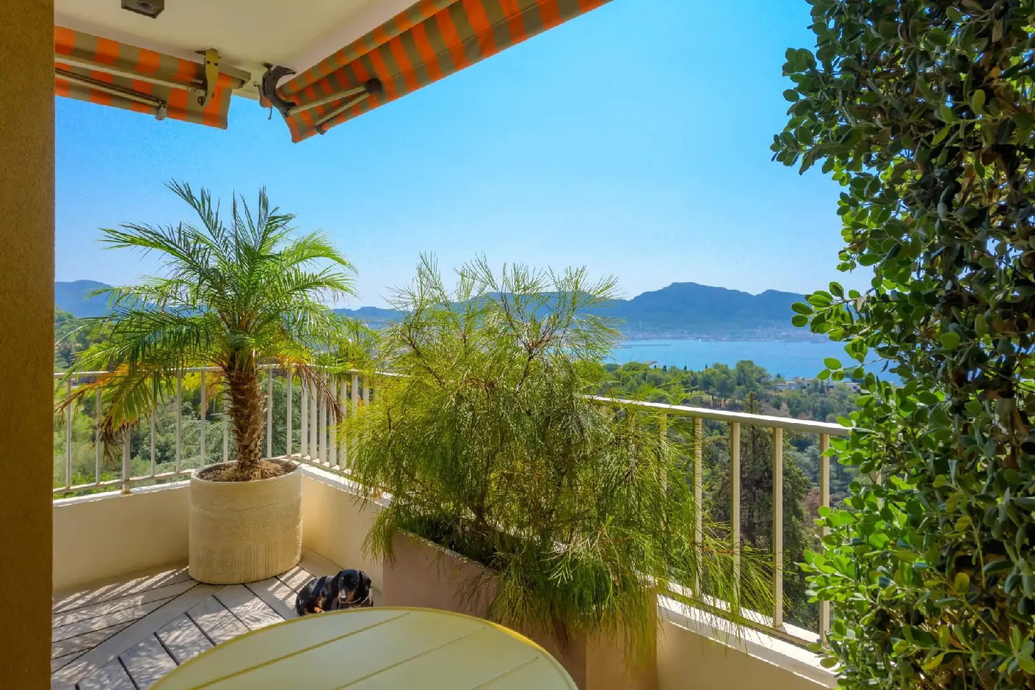  te koop appartement Marseille Bouches-du-Rhône 5