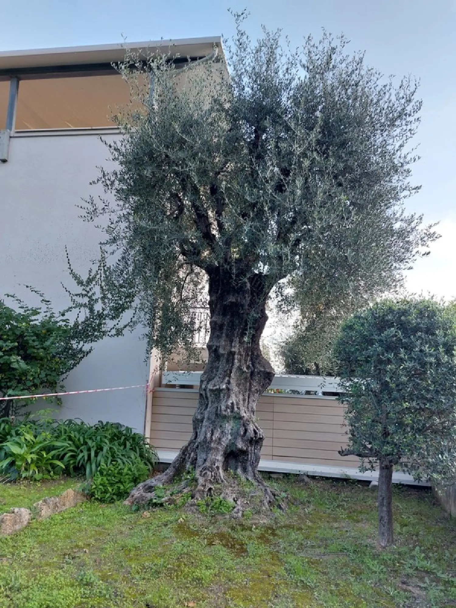  à vendre appartement Menton Alpes-Maritimes 3