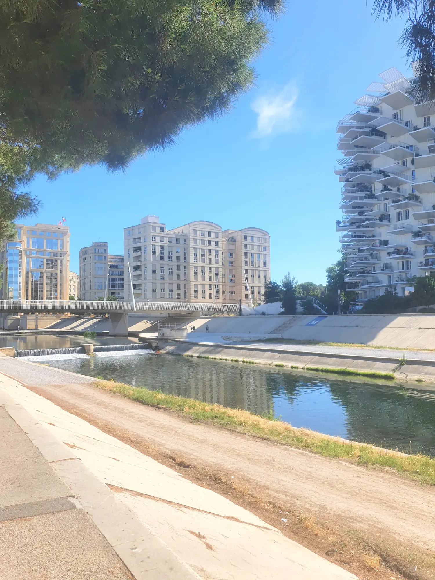  te koop appartement Montpellier Hérault 3