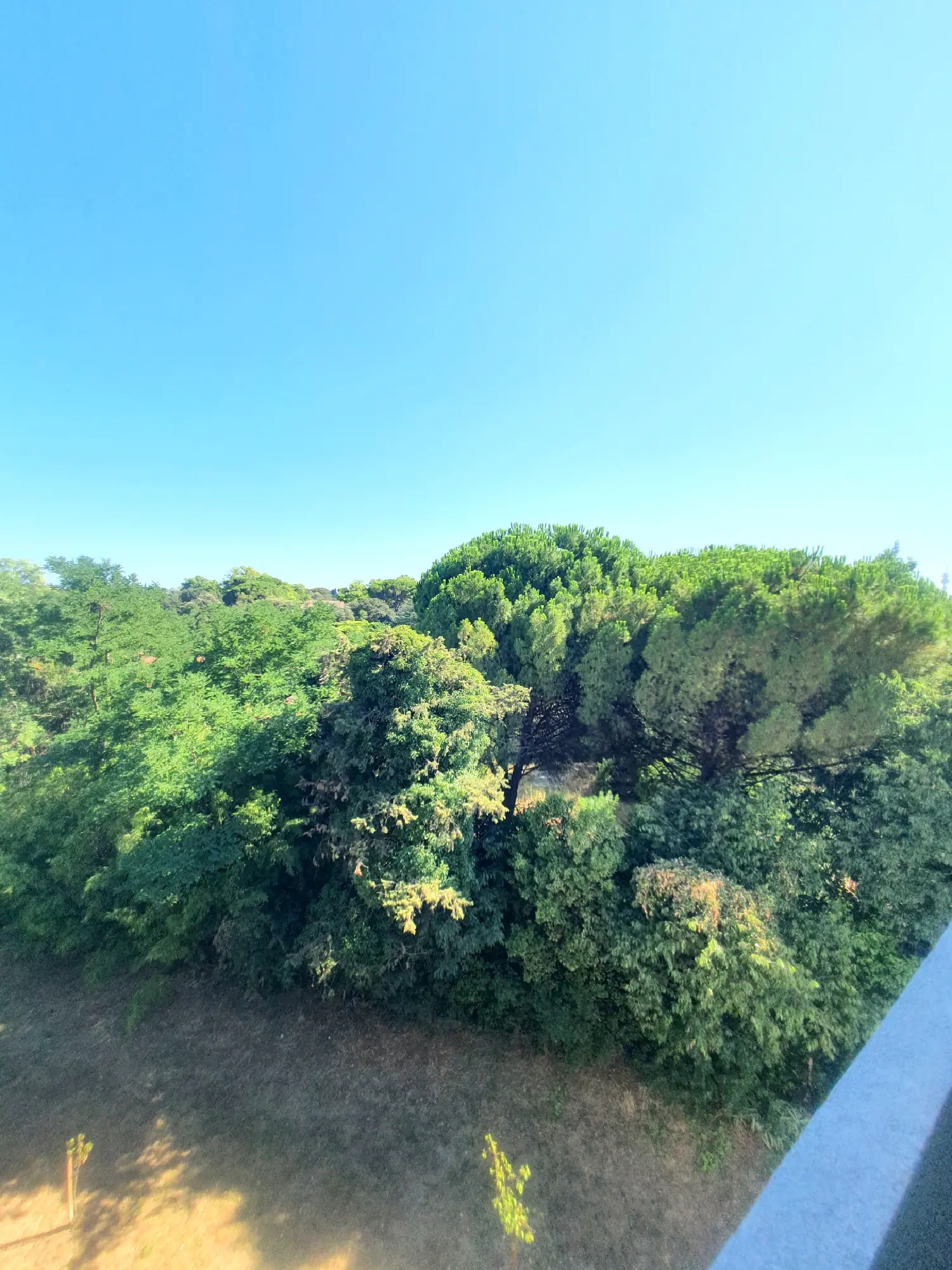  à vendre appartement Montpellier 34080 Hérault 6