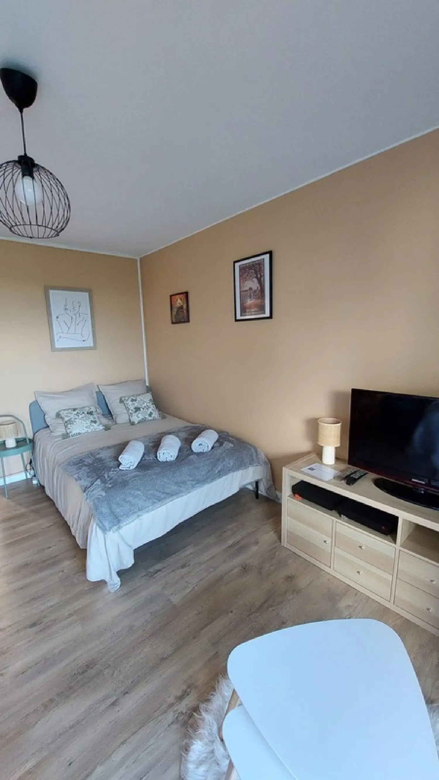  te koop appartement Montrichard Loir-et-Cher 3