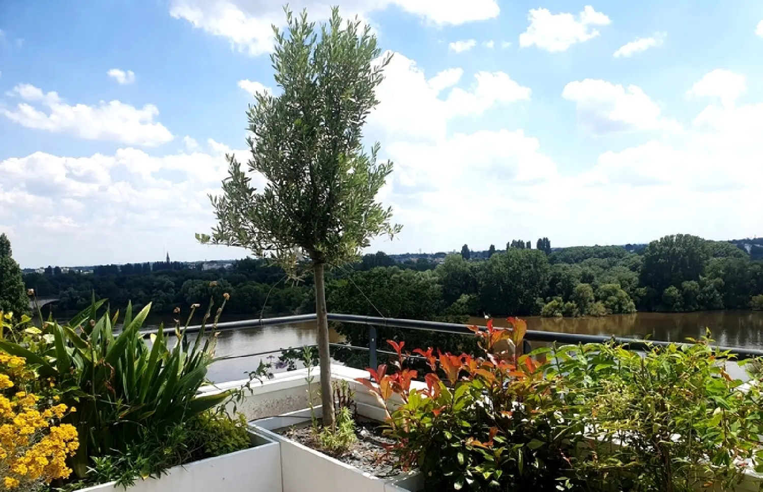  kaufen Wohnung/ Apartment Nantes Loire-Atlantique 4