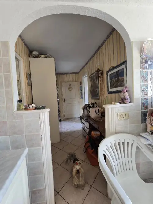 Nice Alpes-Maritimes appartement foto 7114051
