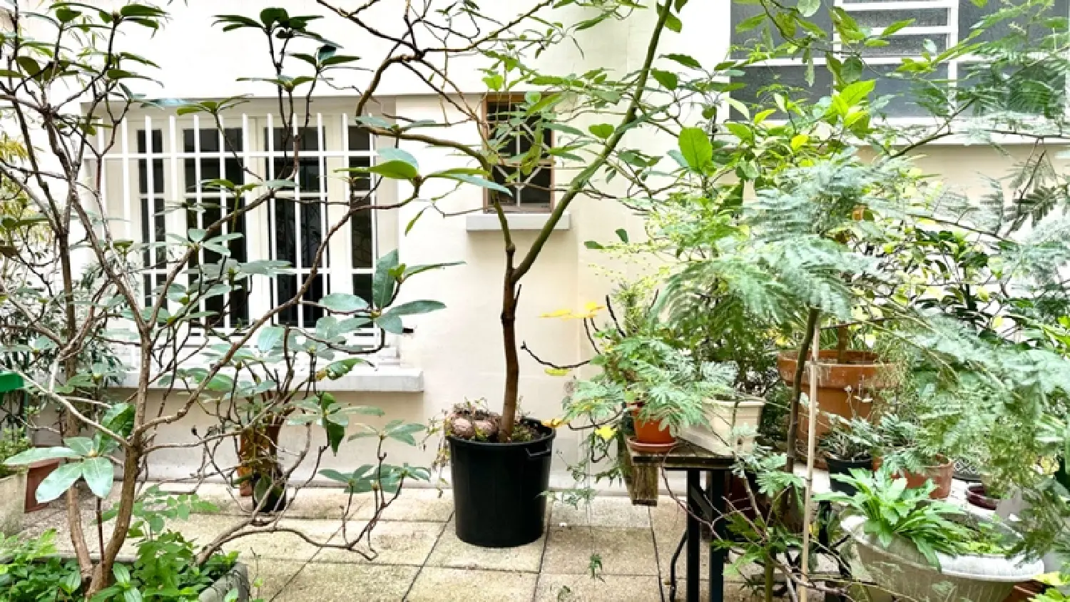 en venta apartamento Paris 9e Arrondissement París (Seine) 2