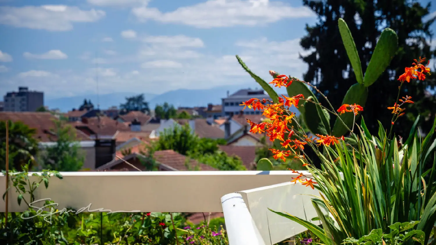  kaufen Wohnung/ Apartment Pau Pyrénées-Atlantiques 4