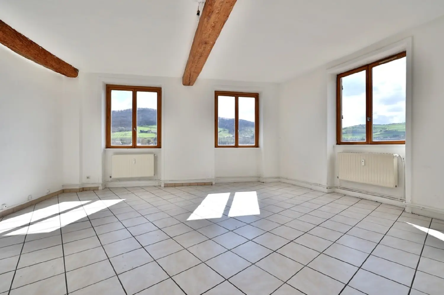  à vendre appartement Pontcharra-sur-Turdine Rhône 4