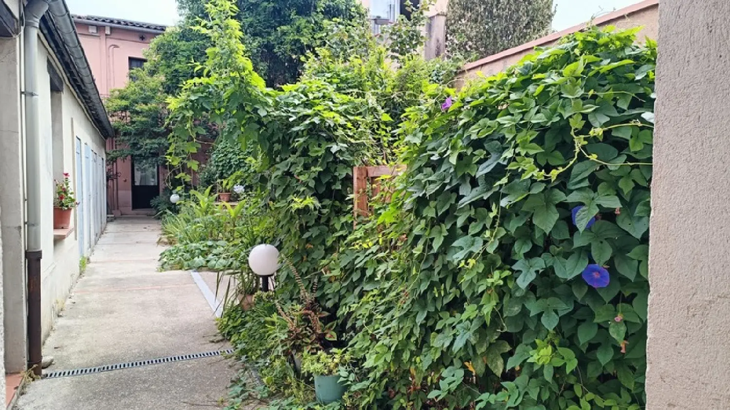  for sale apartment Toulouse 31400 Haute-Garonne 6