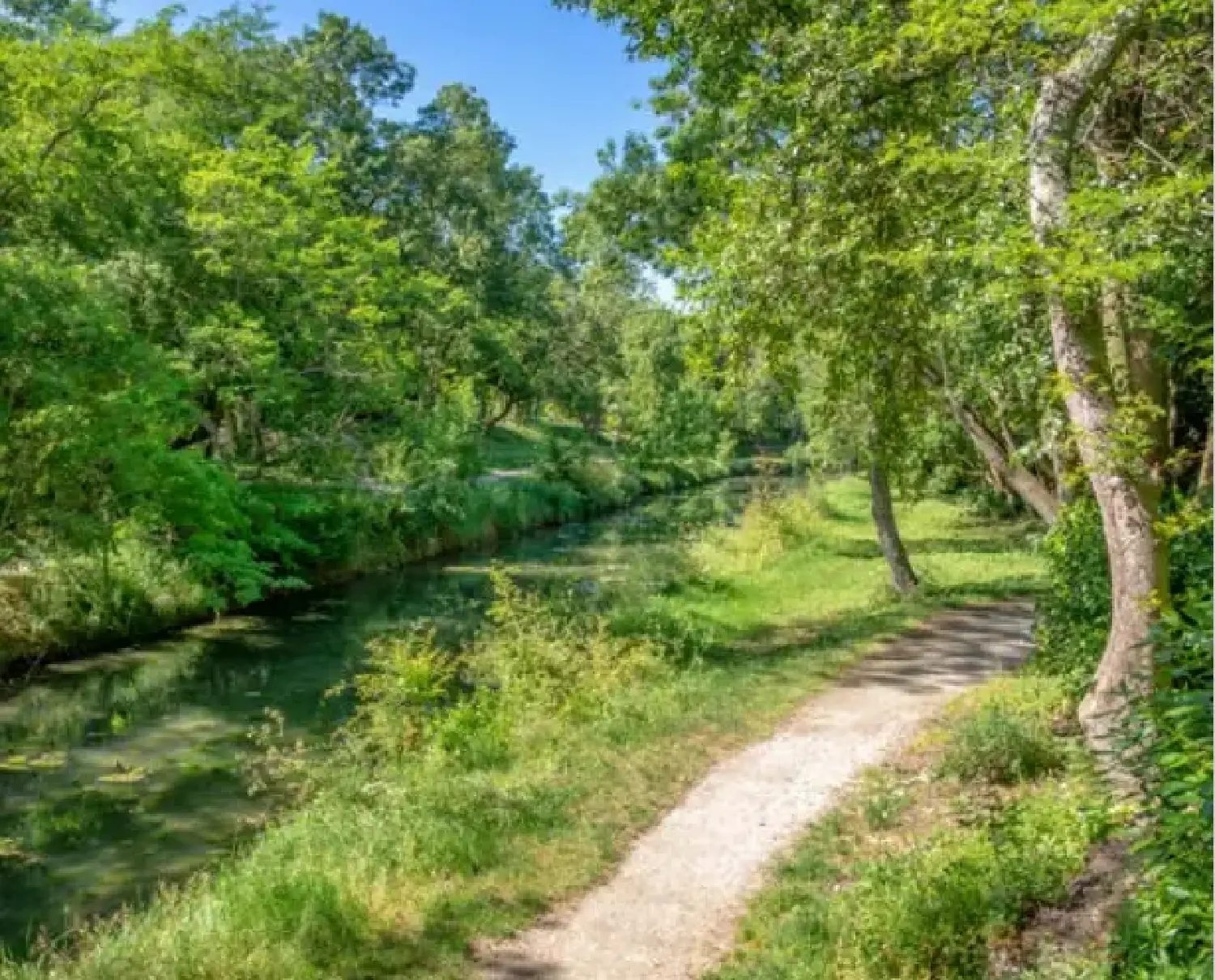  te koop appartement Tours Indre-et-Loire 4