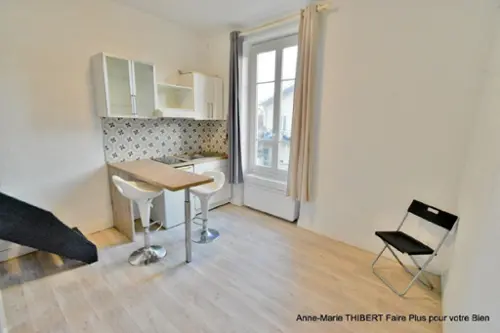 Villeurbanne Rhône Wohnung/ Apartment Bild 7113091