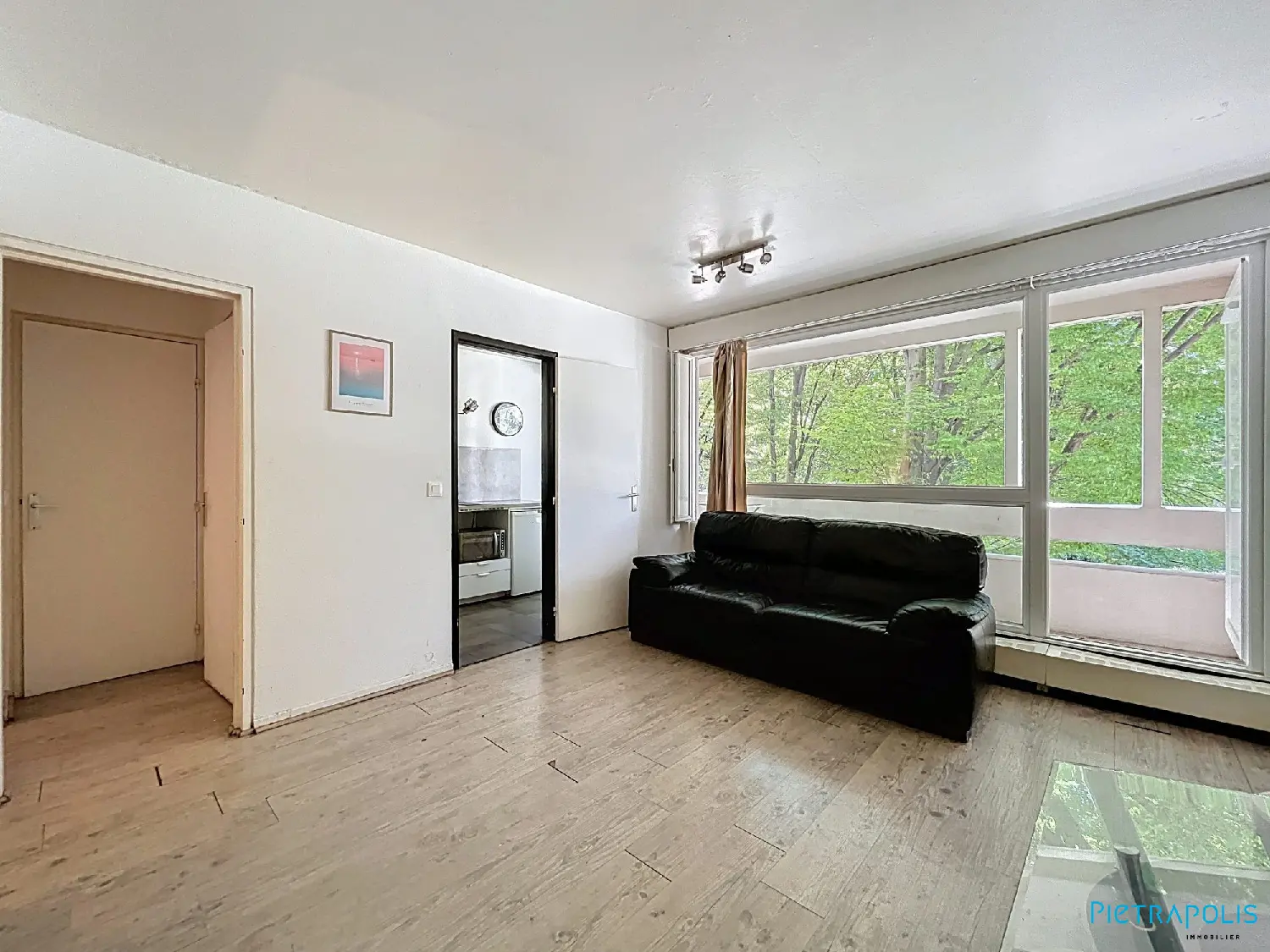  te koop appartement Villeurbanne Rhône 4