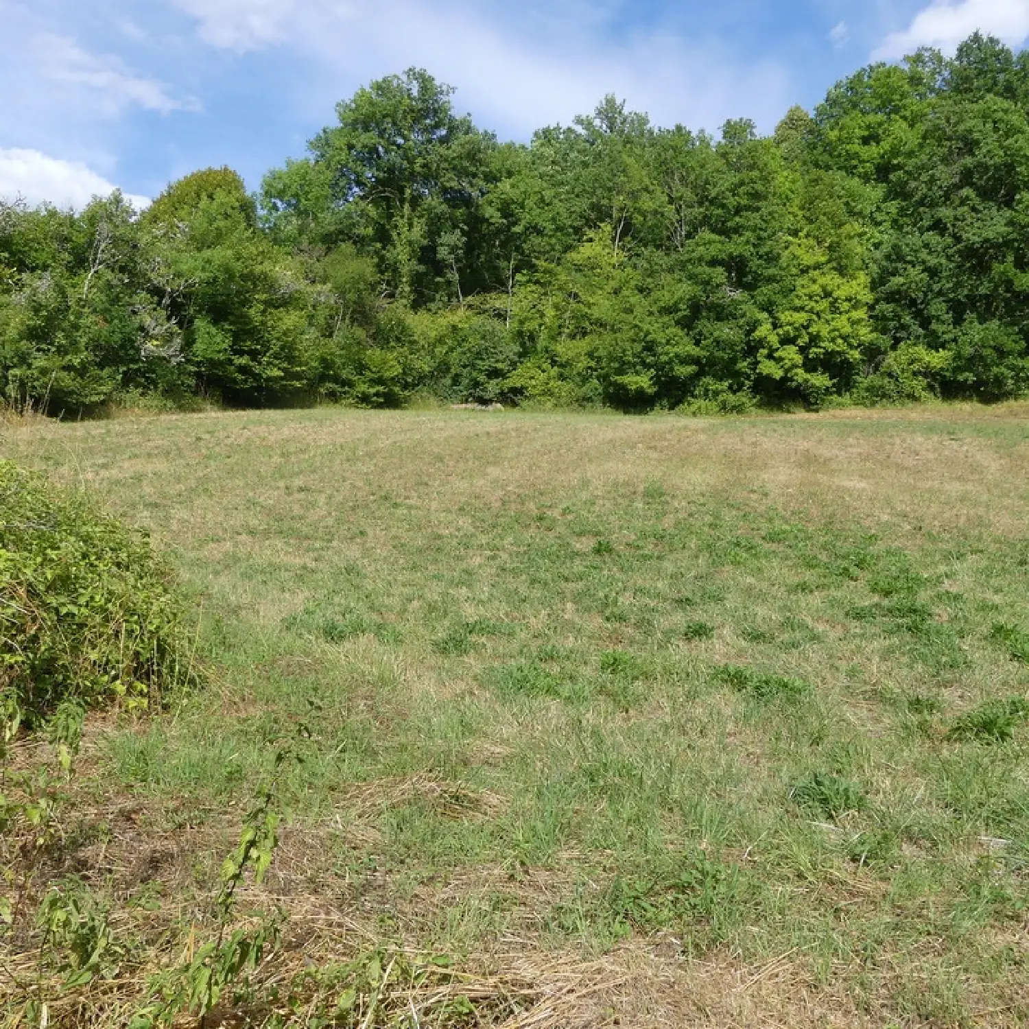  en venta granero Montbard Côte-d'Or 6
