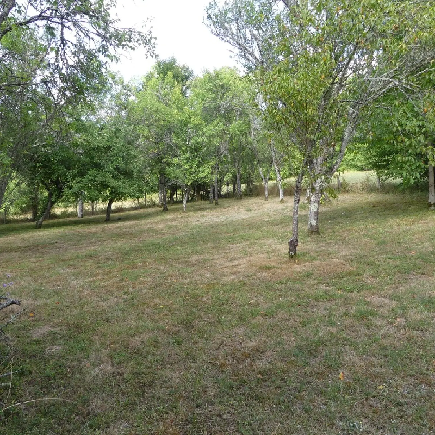  en venta granero Montbard Côte-d'Or 7