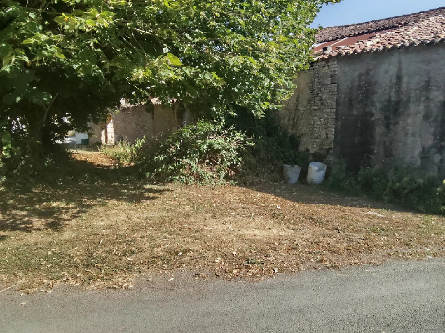  à vendre grange Saint-Hilaire-de-Villefranche Charente-Maritime 3