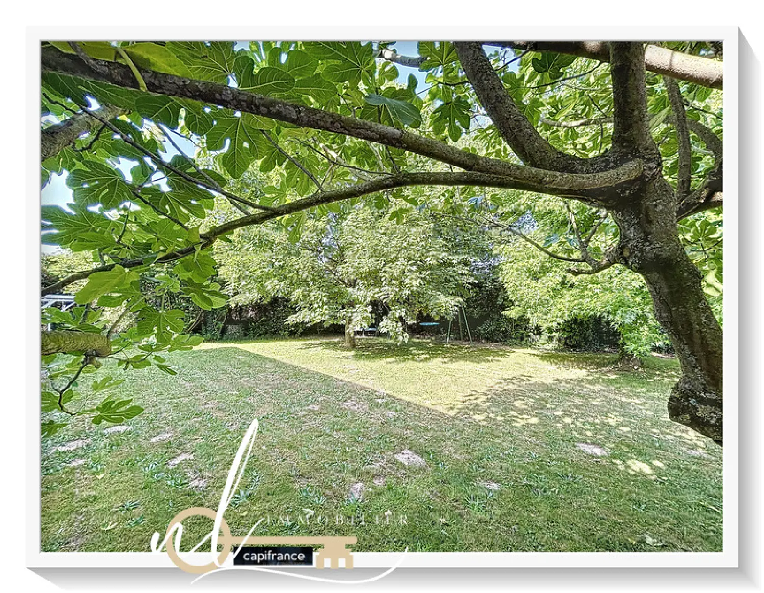  à vendre terrain Chaleins Ain 1