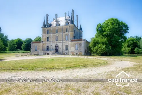 Chantonnay Vendée castle foto 7107219