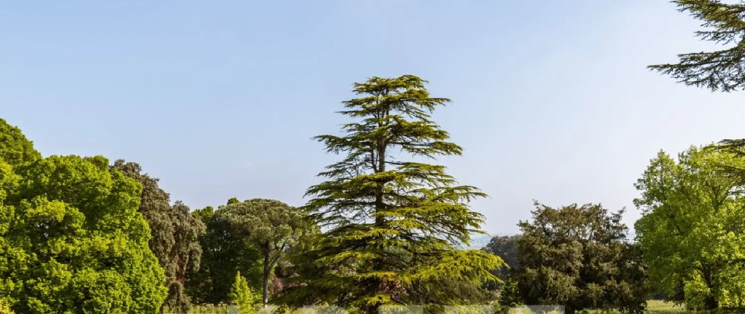  en venta castillo Royan Charente-Maritime 3