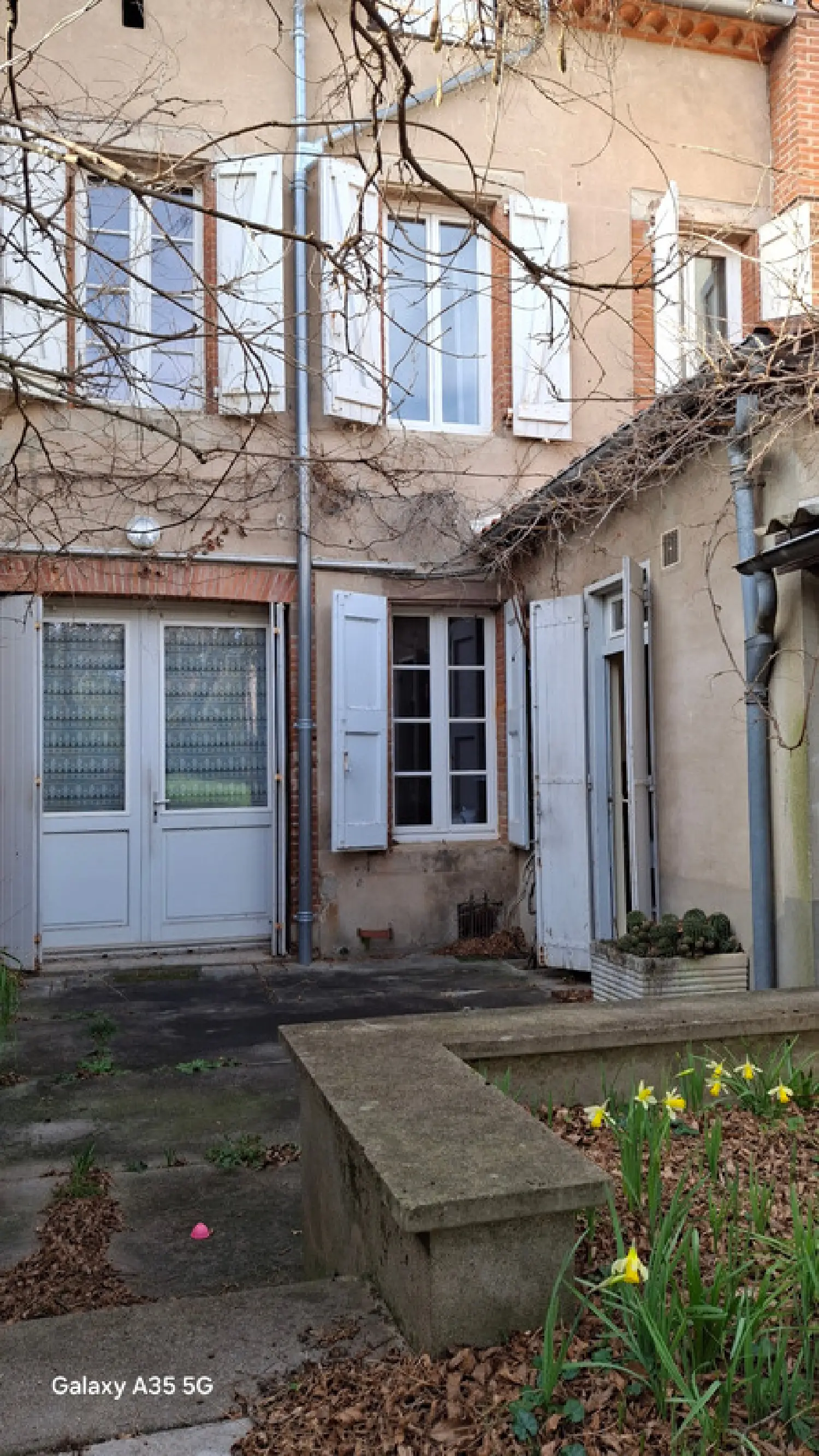  à vendre maison de ville Albi Tarn 2