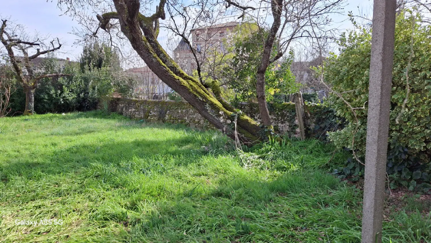  à vendre maison de ville Albi Tarn 3