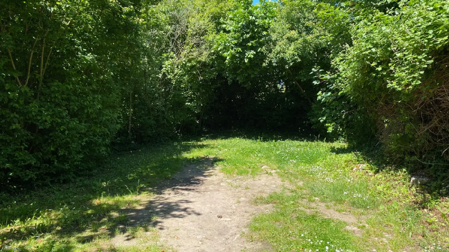  en venta casa urbana L'Isle-sur-Serein Yonne 8