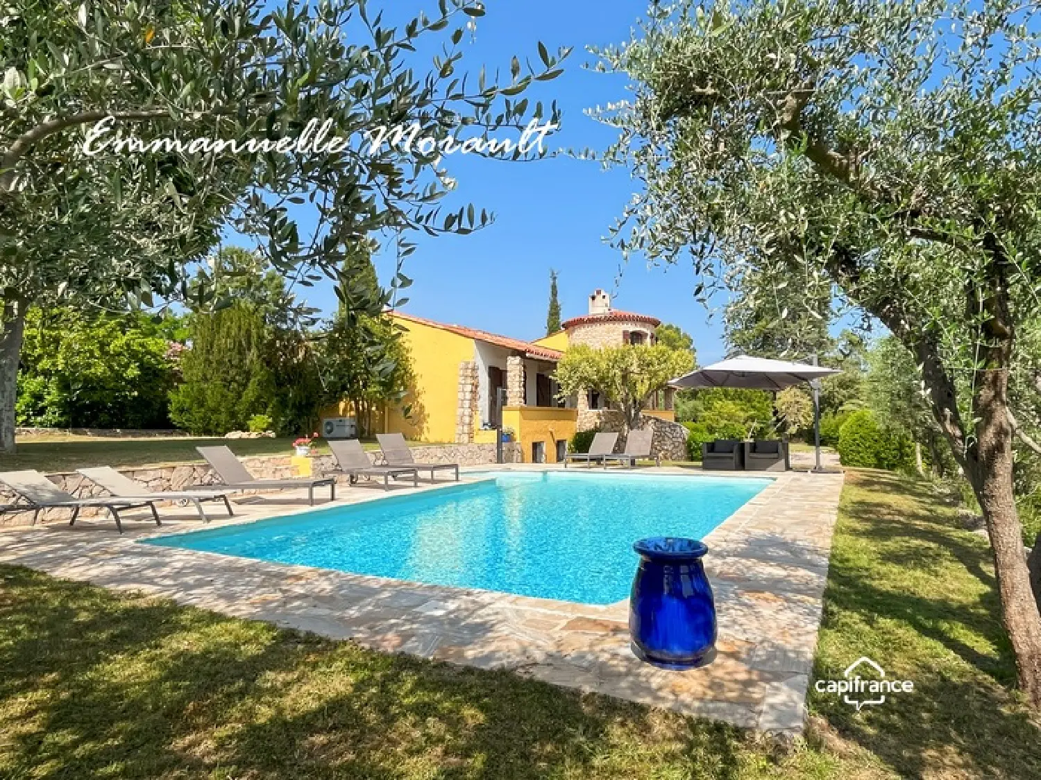  for sale estate Bagnols-en-Forêt Var 1