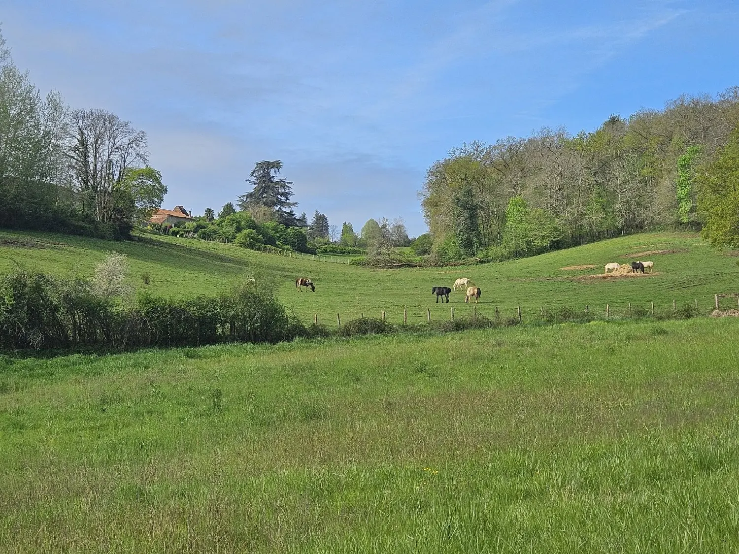  à vendre propriété Fouleix Dordogne 5
