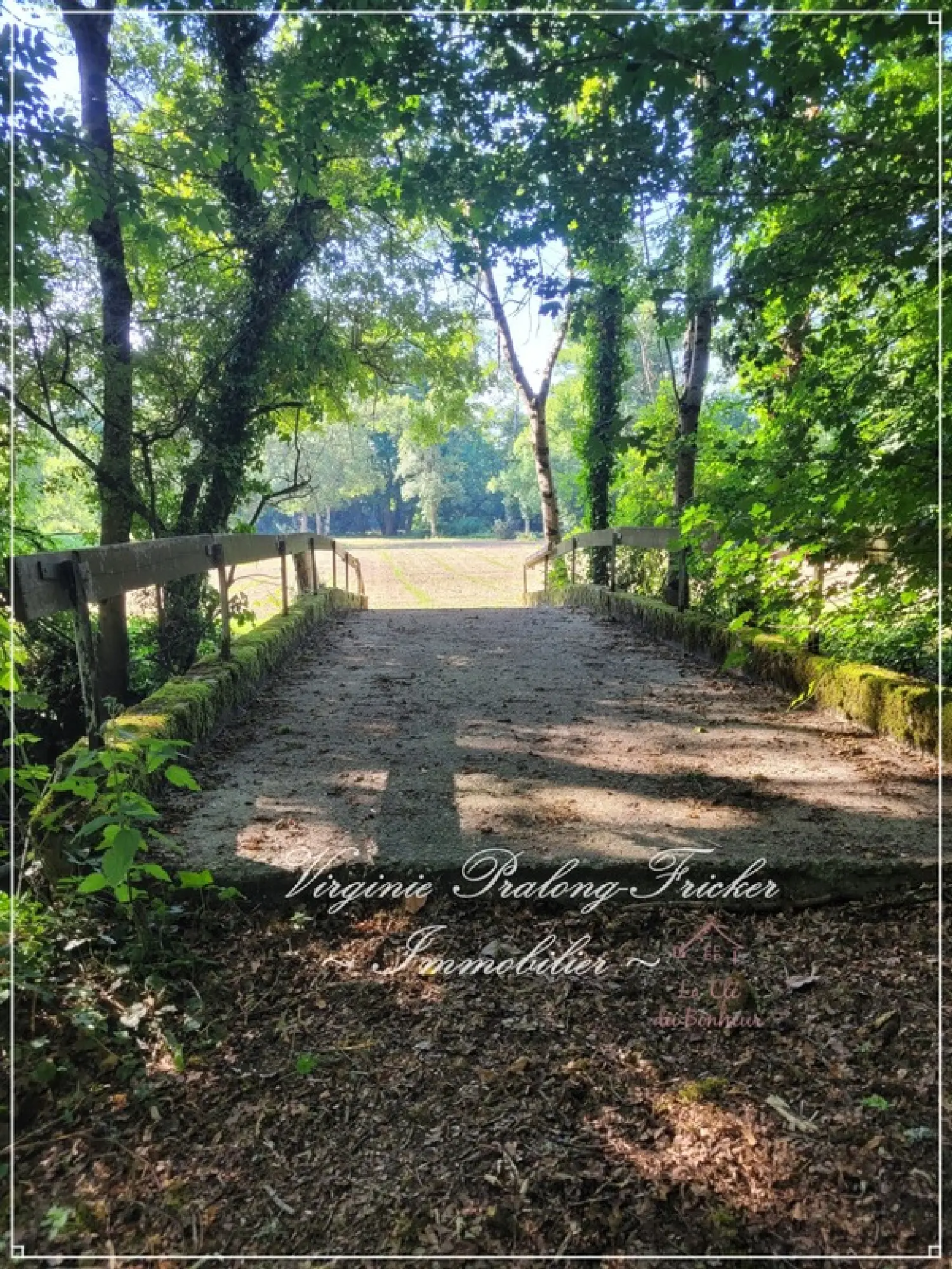  for sale estate Galgon Gironde 5