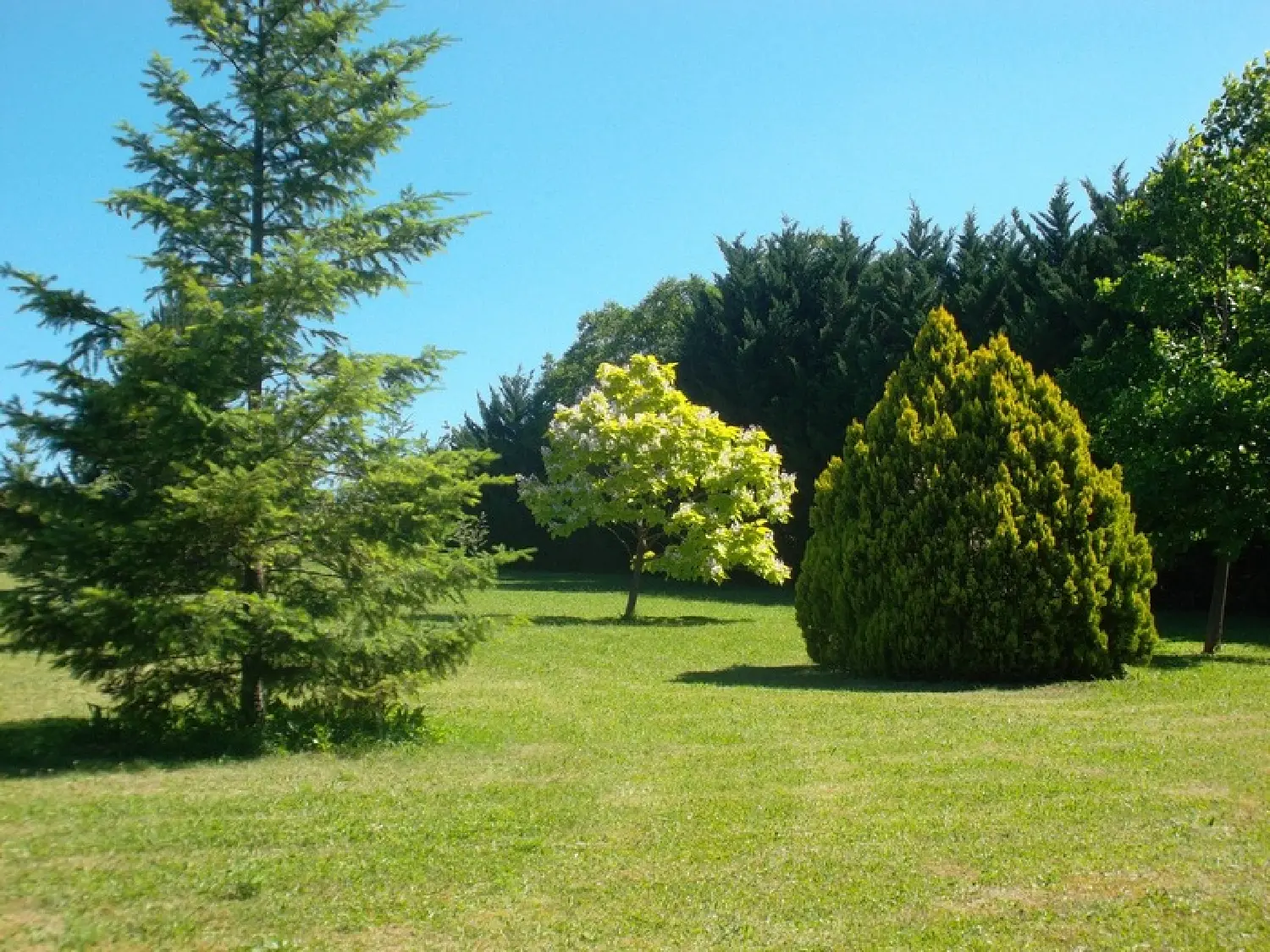  te koop landgoed Issoire Puy-de-Dôme 3