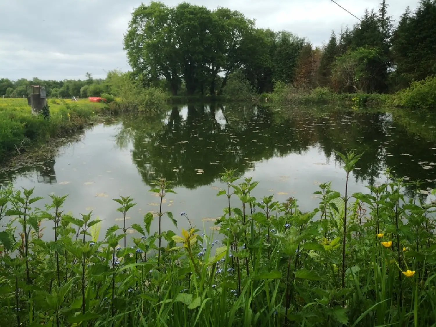  en venta finca rústica Quimperlé Finistère 3