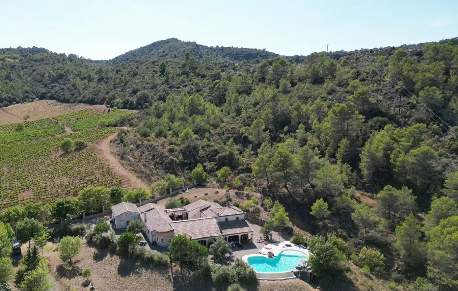  en venta finca rústica Saint-Chinian Hérault 4