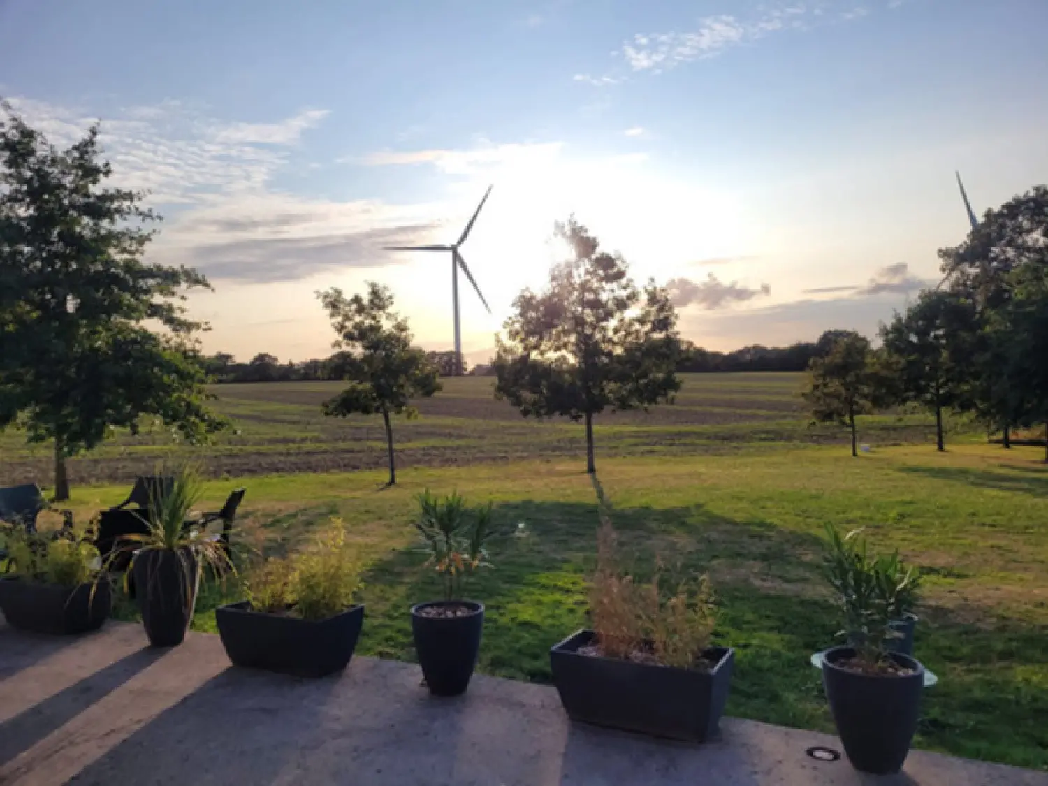  en venta finca rústica Saint-Christophe-du-Bois Maine-et-Loire 6