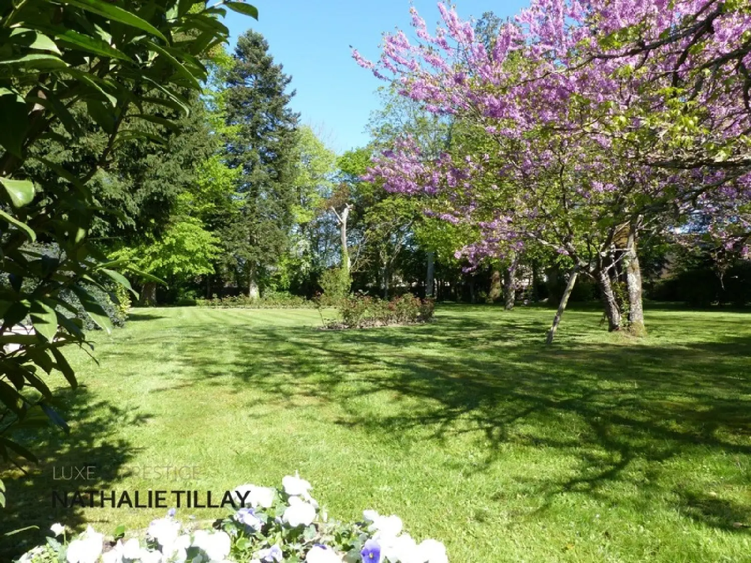  te koop landgoed Saint-Jean-le-Blanc Loiret 6