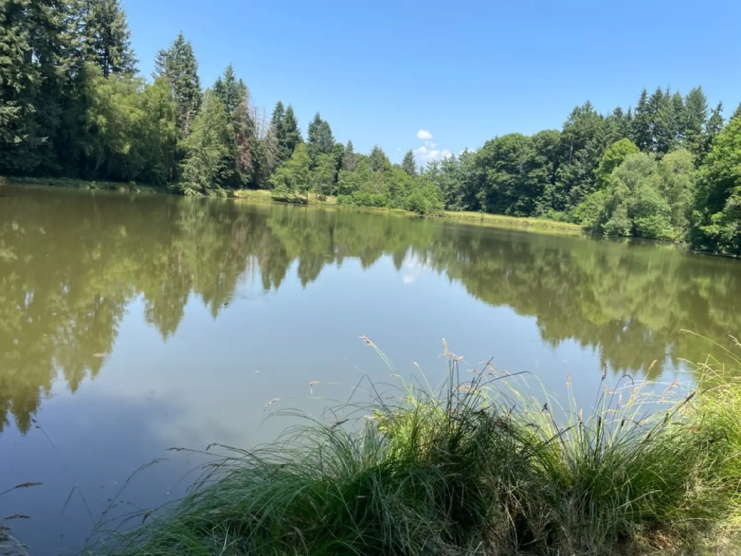  te koop landgoed Saint-Léonard-de-Noblat Haute-Vienne 2