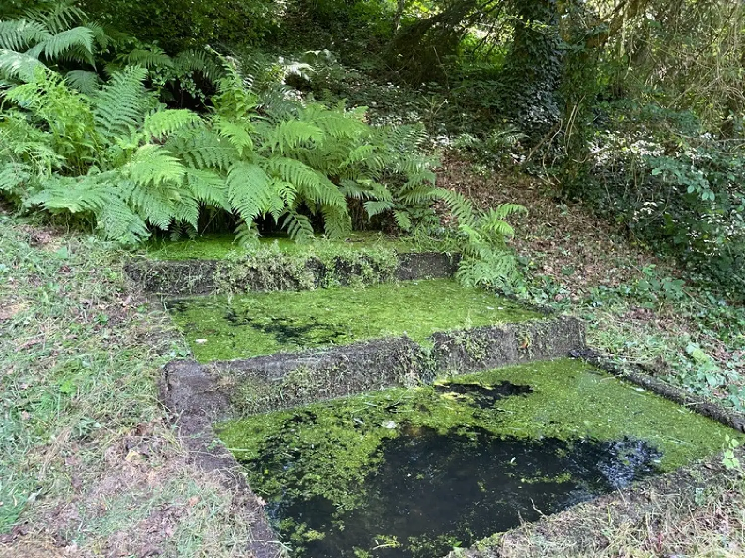  te koop landgoed Saint-Léonard-de-Noblat Haute-Vienne 4
