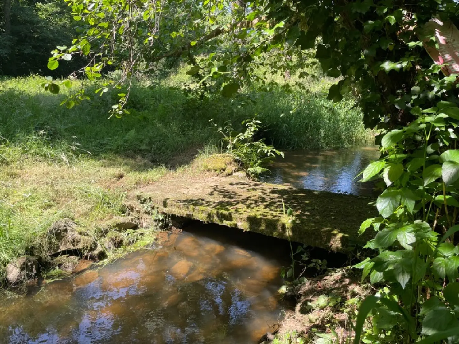  te koop landgoed Saint-Léonard-de-Noblat Haute-Vienne 6