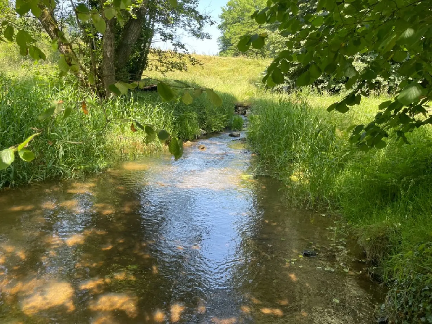  te koop landgoed Saint-Léonard-de-Noblat Haute-Vienne 7