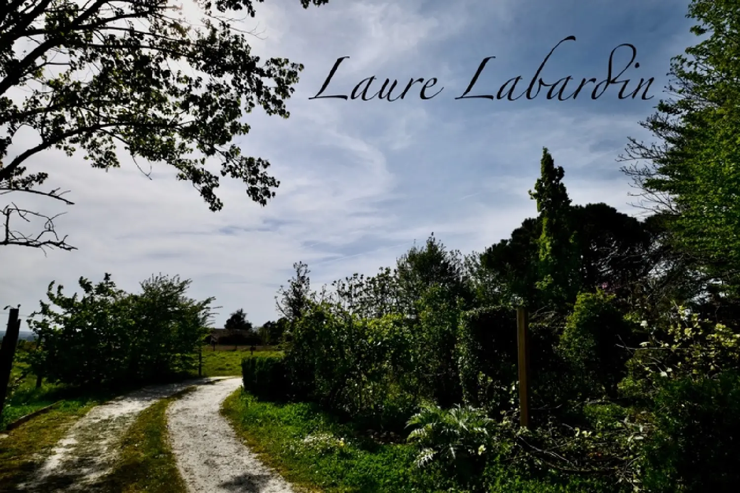  for sale estate Sainte Bazeille Lot-et-Garonne 8