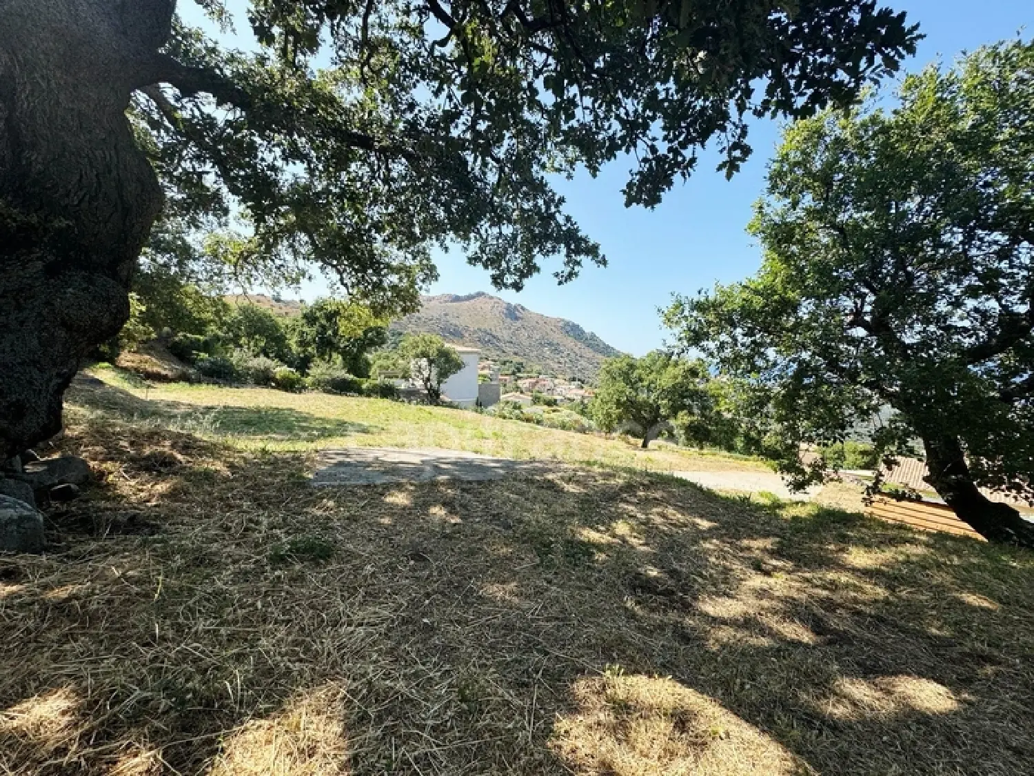  à vendre propriété Santa-Reparata-di-Balagna Haute-Corse 6