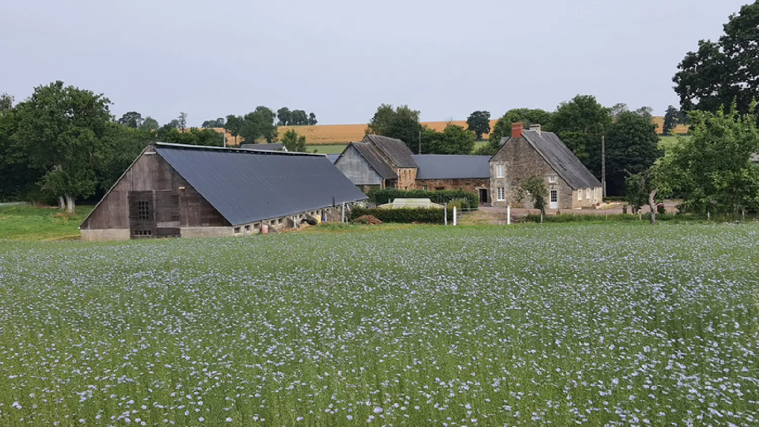  kaufen Landgut Villers-Bocage Calvados 1