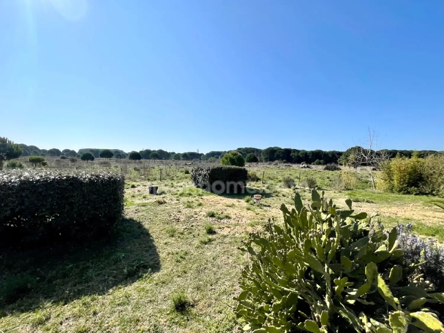  à vendre ferme Aigues-Mortes Gard 4