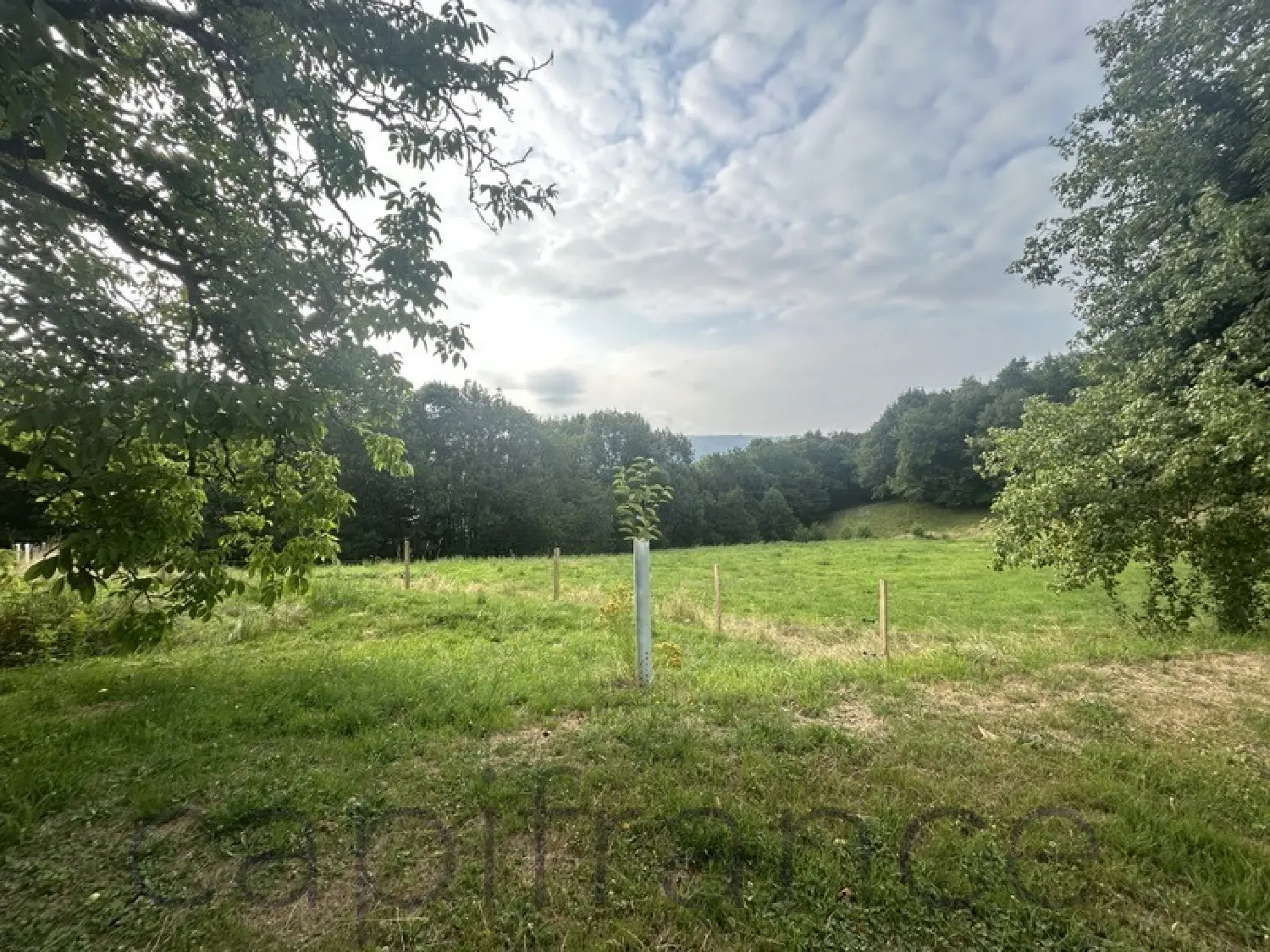  kaufen Bauernhof Beaulieu-sur-Dordogne Corrèze 4