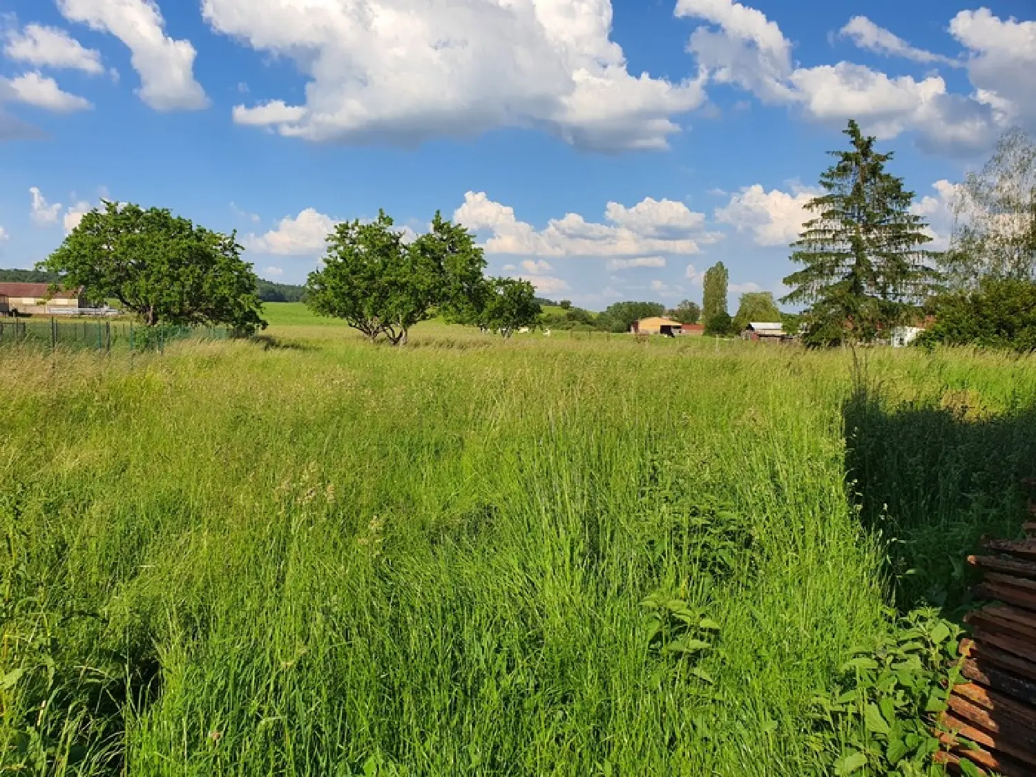  te koop boerderij Contrexéville Vogezen 5