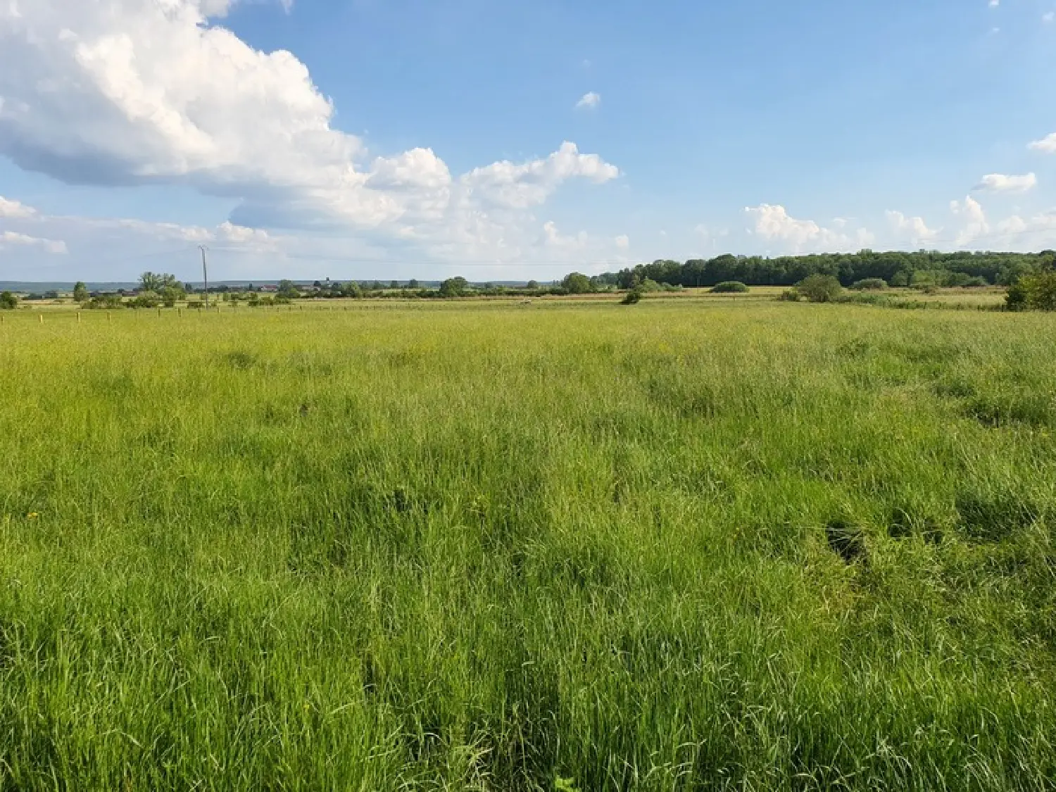  te koop boerderij Contrexéville Vogezen 6