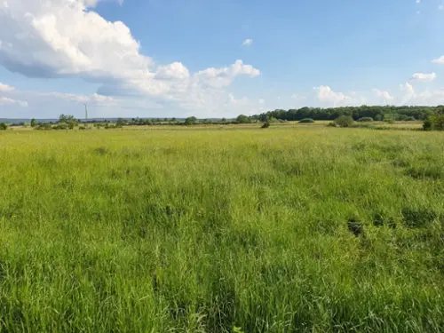  te koop boerderij Contrexéville Vogezen 6