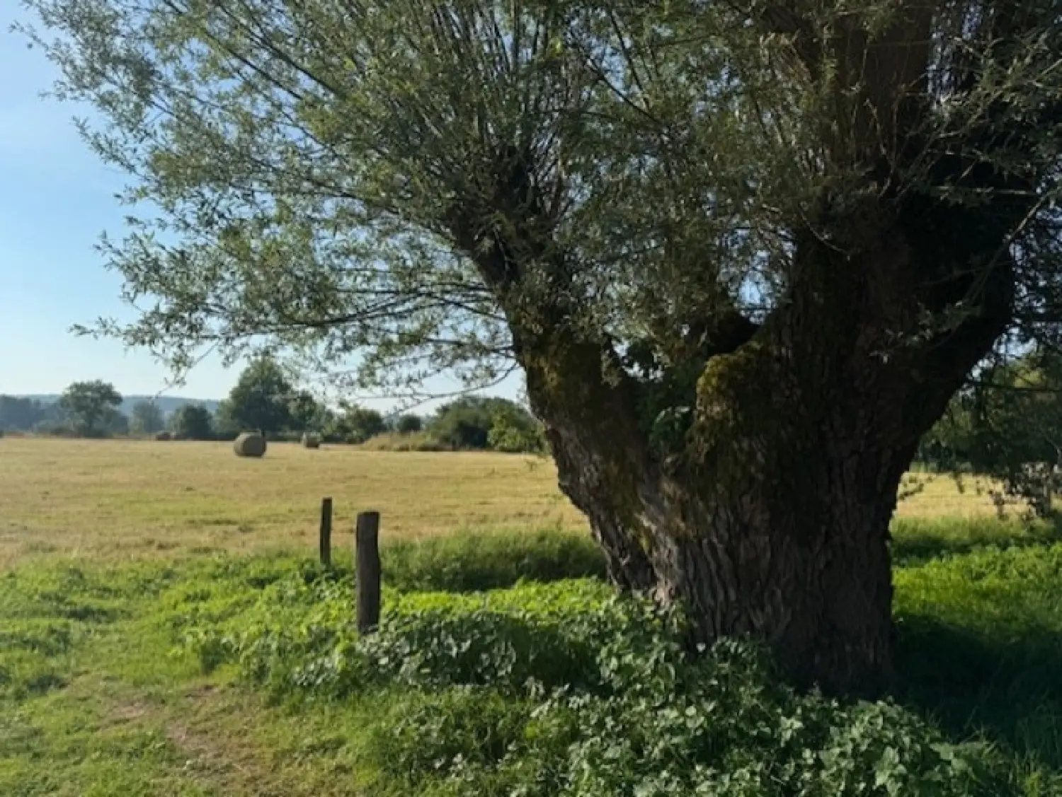  kaufen Bauernhof Digoin Saône-et-Loire 5