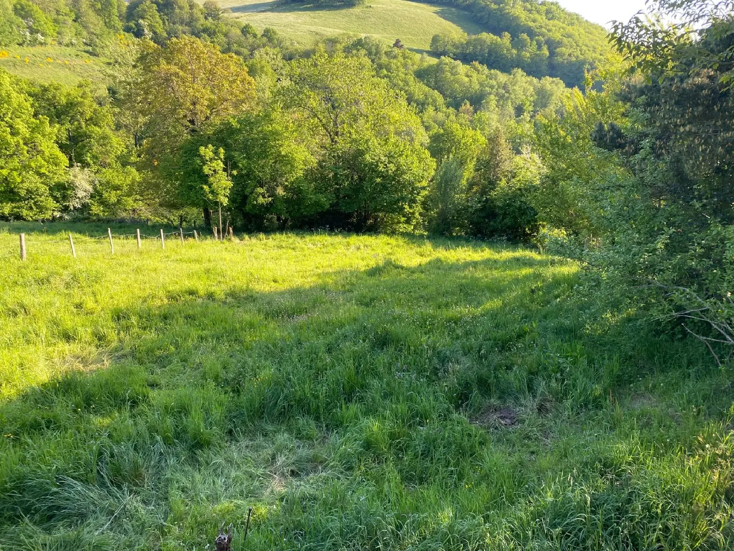  kaufen Bauernhof Entraygues-sur-Truyère Aveyron 5
