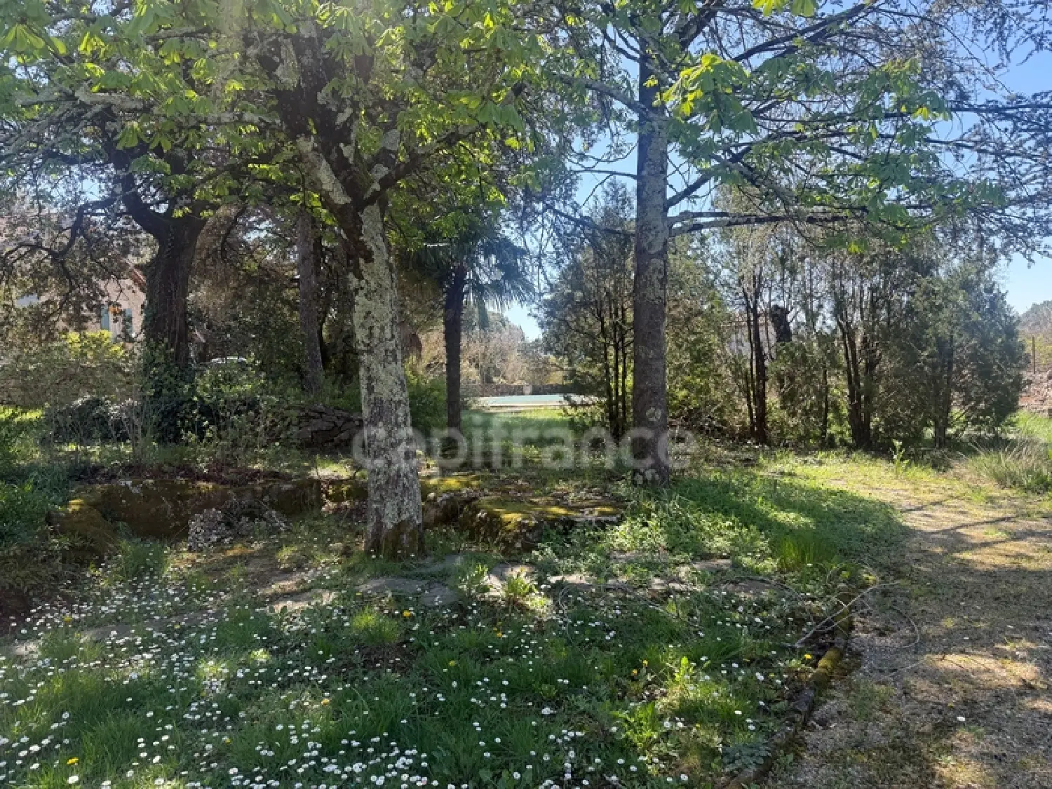  en venta casa rústica Générargues Gard 2