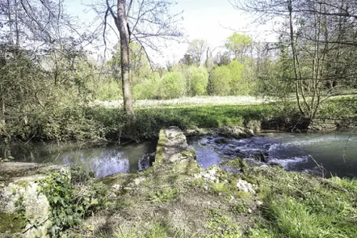  à vendre ferme Grandjean Charente-Maritime 3
