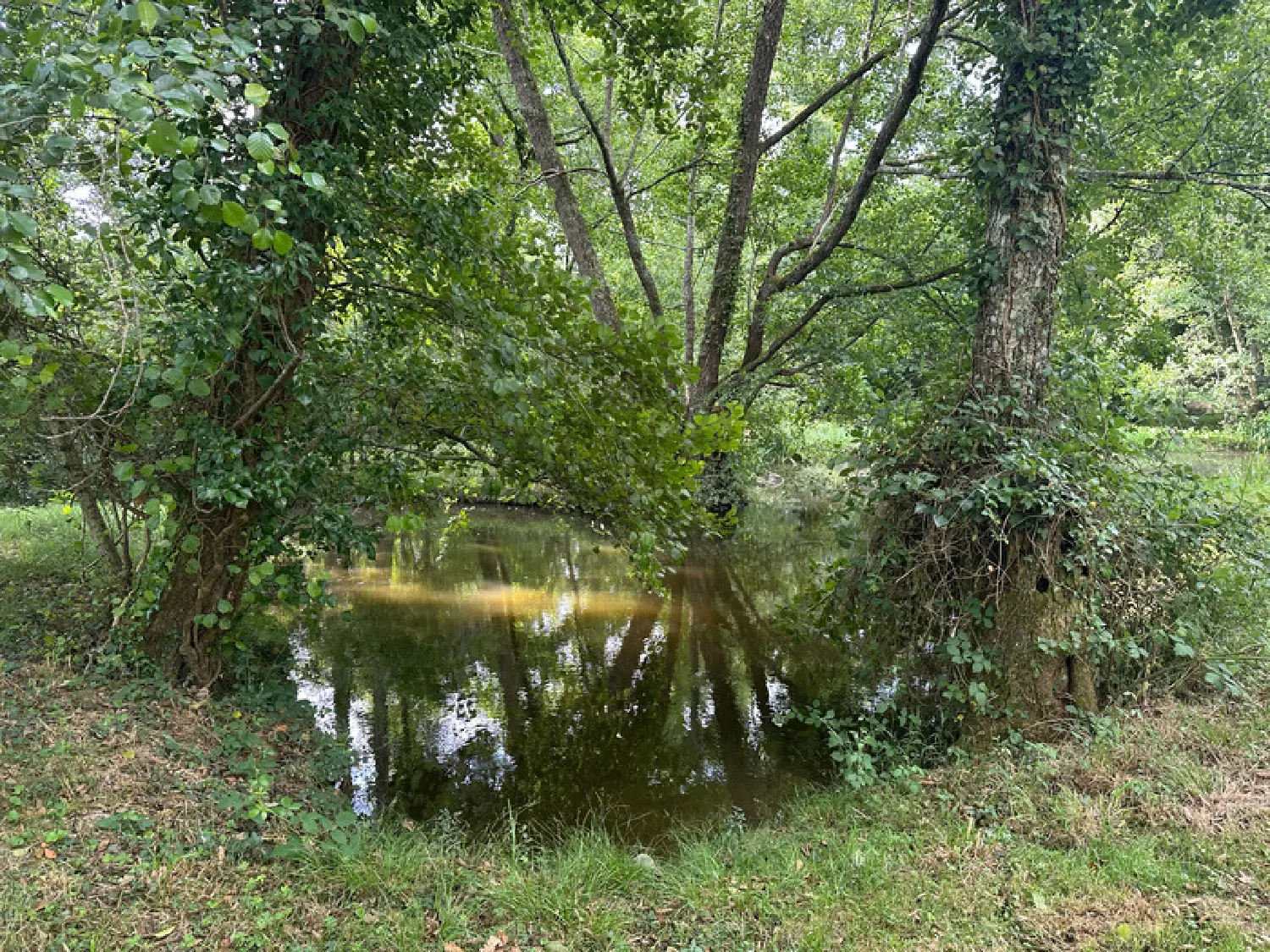  te koop boerderij Labastide-d'Armagnac Landes 4