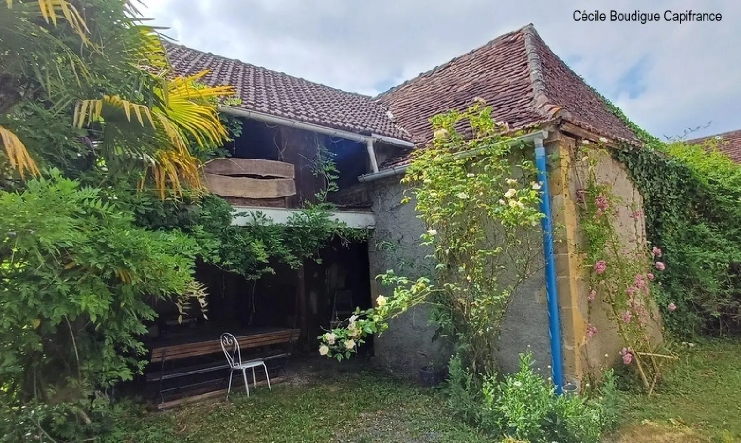  à vendre ferme Lalongue Pyrénées-Atlantiques 5