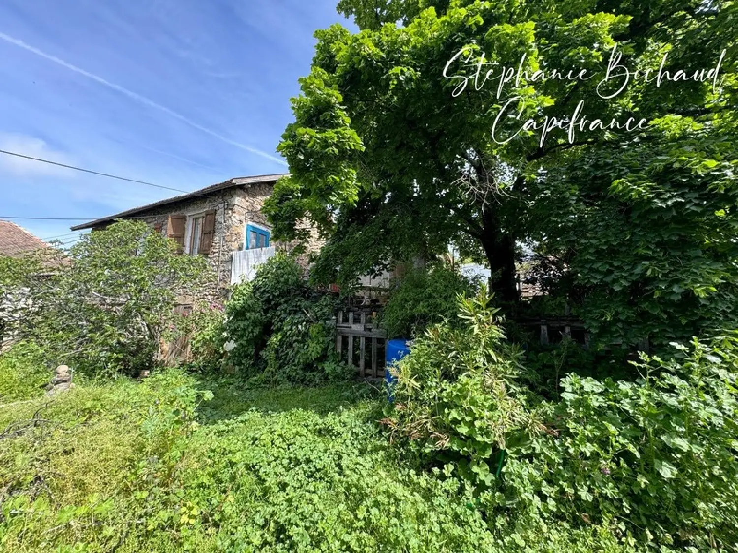  te koop boerderij Lardier-et-Valença Hautes-Alpes 3